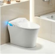 GX-90G8 smart toilet product image